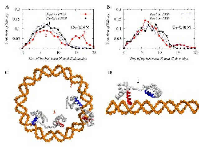 Protein-DNA interactions